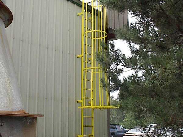 roof_access_ladder_&_cage.jpg